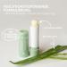 Jean & Len Organic Aloe Vera and Mint Moisturizing Lip Balm Anti-Dryness Lip Care Enriched with Organic Aloe Vera and Shea Butter Palm Oil and Mineral Oil Free Vegan 4.7 g - Buy Online on GoSupps.com