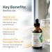Organika Bee Propolis Liquid- Natural Immune Support Sore Throat Relief Antioxidant Alcohol-Free- 100 ml & Vitamin D3 Liquid 2500IU- Olive Oil Base Immune System Support- 30ml 100ml Immune Support + SUPPLEMENT 3964 - Buy Online on GoSupps.com