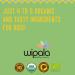 Wipala KIDS Fruity Bars: USDA Organic Mango and Kale - Healthy Snack for Kids - Buy Online on GoSupps.com