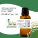 Dill Seed Essential Oil 1 fl oz (30 ml) Glass Bottle 100% Pure Essential Oil GreenHealth - Buy Online on GoSupps.com