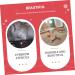 SKISUNO Brow Stencils Model Kits 1pc Eyebrow Tool Girl Cosmetic Measuring Ruler Makeup Gadgets Eyebrow Template 14x11.5cm Black - Buy Online on GoSupps.com