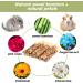 Buy Abizoo Kituzeug for Rabbits - 10 Sticks Sweet Bamboo Snacks & Wooden Chew Toys for Guinea Pigs Chinchillas and Hamsters - International Shipping Available - Buy Online on GoSupps.com