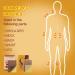 Pain Relief Plasters - Heated Knee Back & Shoulder Pain Relief - 24-Piece Box - Buy Online on GoSupps.com