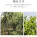 Pu-erh 2020 SHENG JIA YUAN Pasha 357g Raw - Buy Online on GoSupps.com