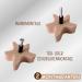 Coffelli Marine Animals Furniture Buttons - 6 Pack Wooden Knobs for Children's Rooms & Drawers | Beech & Birch Wood - Buy Online on GoSupps.com