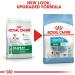 ROYAL CANIN SHN Mini Starter Mother & Babydog Dry Dog Food 4 kg - Buy Online on GoSupps.com