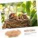 Yardwe 5-Piece Bast Grass Silk Bed Linen for Nesting Birds | Ideal Nest Material for Kolibri & Small Parrots | 22x12cm Accessories - Buy Online on GoSupps.com