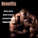 Manic Muscle Labs Ecdysdrol Muscle Building Supplement with Beta Ecdysterone and Turkesterone 500mg 90 Vegan Capsules - Buy Online on GoSupps.com