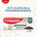 Colgate Sensitive Toothpaste with Clove Oil for Sensitivity Relief 160g  - Buy Online on GoSupps.com