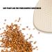 Skin Color Push Up Bra Inserts XL with Grass Seed Filler - Post Mastectomy Prosthesis - Buy Online on GoSupps.com