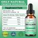 Mullein Drops for Lungs - Immune Support Detox & Respiratory Aid | Non-GMO Gluten-Free 2 Fl Oz - Buy Online on GoSupps.com