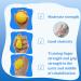 Squeeze Balls for Hand Therapy Grip Ball for Hand Strength 2.8" Good Resilience Soft PU Squeeze Balls for Hand Therapy Hand Exercisers Stress Balls for Adults Elderly - Buy Online on GoSupps.com