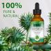GROVL Castor Oil 100% Pure Cold Pressed Castor Oil Essential Oils Stimulates Eyelash and Hair Growth Suitable for Hydrating Body Face and Skin Brow Boosts Eyebrow Growth 60ml - Buy Online on GoSupps.com
