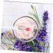 PLAFOPE 6pcs Lip Brush Cosmetic Lipstick Brush Makeup Lipstick Applicator Lip Balm Applicator Eye Shadow Applicator Silicone Lip Mask Brush Lip Balm Brush Makeup Use Lipstick Brush - Buy Online on GoSupps.com