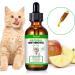 Natural Antibiotics for Cats Cat Antibiotics- Cat Multivitamin is anti-bacterial effect antibiotics for cats Supports Immune & Cats Allergy Relief Health Supplies Cats UTI Antibiotics(60ml) - Buy Online on GoSupps.com