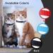 Nobleza 2-Pack Kitten Collar with Bell | Breakaway Cat Collars | Reflective & Adjustable | Safe Quick Release Buckle | Paw Print & Stripe Design | Black - Buy Online on GoSupps.com