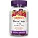 Webber Naturals Sleep Cycle Melatonin with L-Theanine 5-HTP & Sleep Botanicals & Melatonin 10 mg Maximum Strength Gummy 60 Gummies Cherry Pomegranate Flavour For Sleep Support Vegan Nutritional Supplement+ Gummy - Buy Online on GoSupps.com