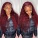 20 Burgundy Lace Front Human Hair Wig 99J - Pre Plucked Kinky Curly HD Transparent 360 Full Lace Wig for Women - Buy Online on GoSupps.com