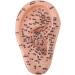 Buy Versatile Ear Acupuncture Model - PVC with Clear Lettering | Soft & Flexible for Home Lessons - International Shipping Available - Buy Online on GoSupps.com