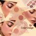 6 Colors Blush Contour Highlighter Makeup Powder Palette with Blush Brush Shimmer Facial Beauty Cosmetic Makeup Blushes Set Face Sculpting Bronzer Blusher Illuminator Palette for Cheek - Buy Online on GoSupps.com