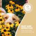 Pets Purest All Itch and Immunity Support Supplement Drops 50ml - Natural Skin Aid for Dogs & Cats - Paw Licking, Itchy Ears, Irritation, Watery Eyes - Buy Online on GoSupps.com