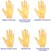 Magic Power Grip Acupressure Hand Massager with Magnetic Therapy - Guardian Angel - Buy Online on GoSupps.com