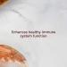 Fungi Perfecti Mesima 60 Veggie Caps - Immune Support & Wellness Supplement - Buy Online on GoSupps.com
