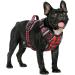 Heele Adjustable No-Pull Dog Harness | Reflective & Breathable for Small Dogs | XS (Chest 33-43cm) | Black-Red - Buy Online on GoSupps.com