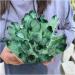 Natural Crystal Rough Crystal Cluster Green Phantom Quartz Crystal Cluster Specimen (Size : 400-500g) - Buy Online on GoSupps.com