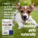 HomeoPet Travel Anxiety Relief for Dogs, Cats & Small Animals - 15ml - Buy Online on GoSupps.com