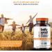 Daily Probiotic for Women Men + Kids Probiotic Belly Great Prebiotics and Probiotics for Gut Health & Immune Support + Vitamin D3 Folate B Vitamins: 15 Strain Gluten Free -60 Count Capsule - Buy Online on GoSupps.com