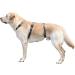 Kerbl 80044 Panic Harness Miami | Escape-proof Dog Harness | Grey 64-100cm | International Shipping Available - Buy Online on GoSupps.com