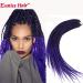 6 Packs Eunice Hair Long Braids Extensions 24 Inch - T1B/Purple Kanecalon for DIY Crochet - 100g/Pack - Buy Online on GoSupps.com