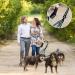 PHILORN Hands-free triple Dog Lead Splitter - Adjustable Detachable - Shock Absorbing Bungee Leads No Tangle Lead for Walking 3 Dogs (Blue) - Buy Online on GoSupps.com