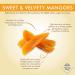 Sunny Fruit Organic Mangoes - 5 Portion Packs (0.7 oz each) - Healthy Snack - Buy Online on GoSupps.com