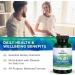 Swanson Daily Men's Women's Multivitamin Multimineral Health Supplement - 250 Capsules - Buy Online on GoSupps.com