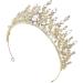 YYBD Baroque Bridal Crown - Princess Tiara for Wedding, Halloween Headpiece with Rhinestone and Crystal Accents - Buy Online on GoSupps.com