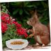 BESPORTBLE 2pcs Hamster Ceramic Bowl Wear- Bowl Mini Feeding Bowl Ceramic Chinchilla Bowl Hedgehog Bowl Ceramic Hamster Feeder Ceramic Food Dish Guinea Bowl Mini Food White Ceramics Ornaments 7X7X2.4CM White - Buy Online on GoSupps.com