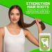 Sidr (Jujube) Powder 100g - Natural Hair Cleanser | 100% Pure | Suitable for All Hair Types Thin & Stressed Hair - Buy Online on GoSupps.com