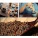 Pu'Er Ripe Tea 60G(2.1Oz) The Taste of The Tea Leaves is Pleasant and Indifferent The Taste is Mellow The Tea Soup is Full The Soup Has a Thick Taste for Family and Friends - Buy Online on GoSupps.com