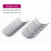 FADLASH 10D Premade Volume Eyelash Extensions - Flawless, Full & Long-Lasting Lashes - Buy Online on GoSupps.com