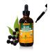 Herb Pharm Certified Organic Black Elderberry Liquid Extract for Immune System Support Alcohol-Free Glycerite 4 Ounce 4 Fl Oz (Pack of 1) Alcohol-free Glycerite