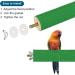 PATICIL 1.1x9.8 Bird Paw Wood Perch Stand - Ideal Cage Accessory for Small Birds Parrots & Budgies - Green - Buy Online on GoSupps.com