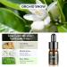 Ceeniu Essential Oils Set - 3 Pack Car Diffuser Refills (12ml) | Pure Cologne Lavender Dream Orchid Snow - 3 Months of Aromatherapy - Buy Online on GoSupps.com