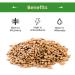 Sincerely Nuts Roasted & Salted Hulled Sunflower Seeds - 2lb Bag | Gluten-Free, Vegan, Kosher Certified Snack - Buy Online on GoSupps.com