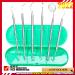 Dental Tools Professional Plaque Remover Kit Stainless Steel Oral Care Set with Tooth Scraper, Tartar Remover, and Dental Scaler - Green Case Included - Buy Online on GoSupps.com
