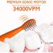 Dinosaur Toothbrush Kids Sonic Electric Toothbrush for Children Toddlers Boys Girls Age 3-12 with 30s Reminder 2 Mins Timer 5 Modes 6 Brush Heads Rechargeable Wall-Mounted Holder 8680 Orange+ 6 Heads+ Holder(package Might Vary) - Buy Online on GoSupps.com