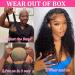 Alionly Water Wave Lace Front Wig Human Hair 18 Pre Plucked HD Transparent Lace 4x4 Closure 180 Density - Glueless Wig for Black Women - Buy Online on GoSupps.com