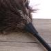 W-LOVNEST Ostrich Duster Cleaning Brush with Long Handle Computer Dust Removal for Home Bedroom Dormitory Keyboard for Cleaner Brush Tool - Buy Online on GoSupps.com