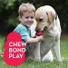 KONG Classic Dog Toy - Durable Natural Rubber for Chew, Chase, and Fetch | Large Size - Buy Online on GoSupps.com